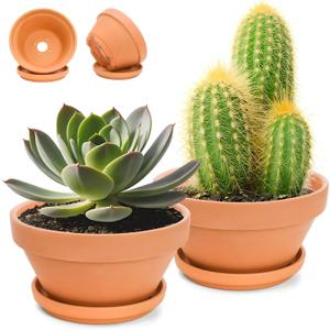 2 Pack 8 Inch Shallow Succulent Terracotta Pots with Drainage Hole and Saucer, Clay Plant Pots for Indoor and Outdoor Planter, Bowl Planter for Orchid, Cactus, Flowers