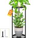 LASZOLA 2 Tier Black Plant Stand Indoor for Large Tall Heavy Duty Flower Planter, Metal Vertical Multi Level Rack for Narrow Floor Corner, Sturdy Round Holder Organizer, Modern, Mid Century, Farmhouse