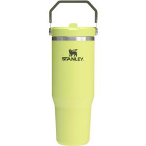 STANLEY IceFlow 2.0 Flip Straw Tumbler with Handle 30 oz | Twist On Lid and Flip Up Straw | Leakproof Water Bottle | Insulated Stainless Steel | BPA-Free | Prickly Pear