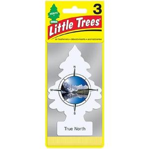 LITTLE TREES Car Air Freshener | Hanging Paper Tree for Home or Car | True North | 3 Pack