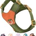 Green Small Dog Harness for Small Dogs, No Pull Dog Harness with 2 Leash Clips, Puppy Harness, Dog Vest Harness (Green, S)