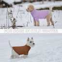 LETSQK Dog Knitting Sweater,Pet Warm Winter Coat,Thickening Turtleneck Small Medium Doggy Sweatshirt Soft Classic Knitwear in Cold Weather,Pullover Sweater for Puppy, L GlazedGinger