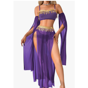 Exotic Wear Dancer Outfits,High Slit Skirt Sexy Lingerie For Women,Belly Dance Costume Cosplay Festival , Extra Large, Purple 
