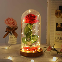 Beauty and The Beast Rose, Christmas Roses Gifts for Mom, Birthday Gift for Women, Light Up Rose in Glass Dome, Eternal Rose Flower Gifts for Her, Roses Gifts Girlfriends for Wife