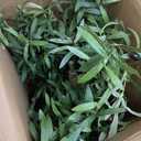 SHACOS 4 PCS 28 inch Artificial Olive Branches for Vases Greenery Olive Stems Faux Tree Branch Twig for Home Wedding Shop Office Garden Decor DIY Floral Crafts