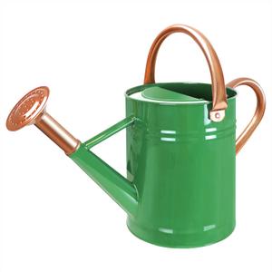 1 Gallon Galvanized Steel Watering Can with Removable Spout for Outdoor and Indoor Gardening, Metal Watering Can,Watering Pot (Green), Gift & Decoration