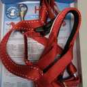 Halti Headcollar - Stop Your Dog Pulling on The Leash. Adjustable, Reflective and Lightweight, with Padded Nose Band. Dog Training Anti-Pull Collar for Medium Dogs (Size 2, Red)