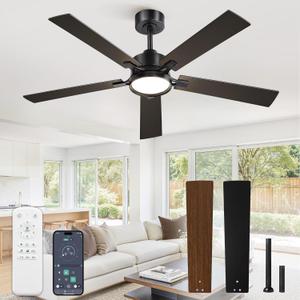 52 Inch Ceiling Fan with Lights and Remote, Smart APP Control, Dimmable with All-Setting Memory, Quiet DC Motor Reversible Blades, Damp Rated Modern Ceiling Fan for Bedroom Patio Living Room, Black