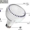 LED Pool Light Bulb 12V 50W 5000LM 6500K Daylight White LED Swimming Pool Light Bulb, Replaces up to 200-800W Traditionnal Bulb for Most Pentair Hayward Light FixturesNOT 120V