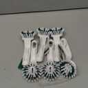 Scotch-Brite Little Handy Scrubber Brush, 6 Dish Brushes, Dish Brush with Long Lasting Bristles, Crevice Cleaning Brush, Nail Brush for Cleaning Fingernails