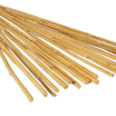 Hydrofarm HGBB4 4' Natural, Pack of 25 Bamboo Stake, 4 Foot, Tan