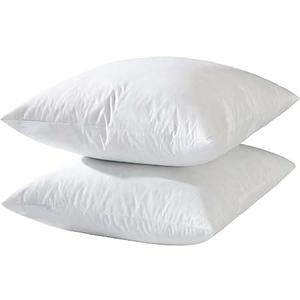 Standard Queen Pillow 20x20 Inch