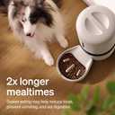 PETLIBRO Automatic Cat Feeder with Camera, Auto Pet Food Dispenser Slow Feeder Dog Bowl, 1080P HD Video with Night Vision, 5G WiFi with 2-Way Audio, Stainless Steel Slow Food Tray for Small Dogs