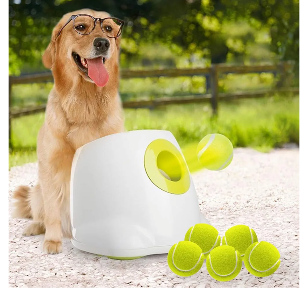 ALL FOR PAWS Automatic Dog Ball Launcher for Medium to Large Dogs, Interactive Tennis Ball Thrower, Rechargeable Dog Toy Mental Stimulation Training Game for Energetic Dogs