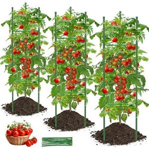 Amazon.com : MQJIAZHI Tomato Cage, 3Pack 51.2inch Tall Tomato Trellis Triangle Tomato Cages for Garden Climbing Plants, Raised Garden Bed Plant Support Stakes for Garden,Pots, Plant Cages & SupportsExtra Bold : Patio, Lawn & Garden