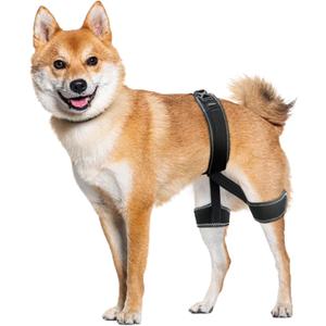 CHAMIN Dog Hip Brace  Support Harness for Hip Dysplasia, Joint Pain Relief, Prevents Hip Joint Issues, Orthopedic Support for Dogs(Large)