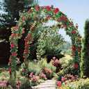 Garden Arch, Outdoor Flower Garden Arch Trellis, Sturdy Steel Arbor for Climbing Plants, Wedding Decoration, 94" H x 55" W, Black