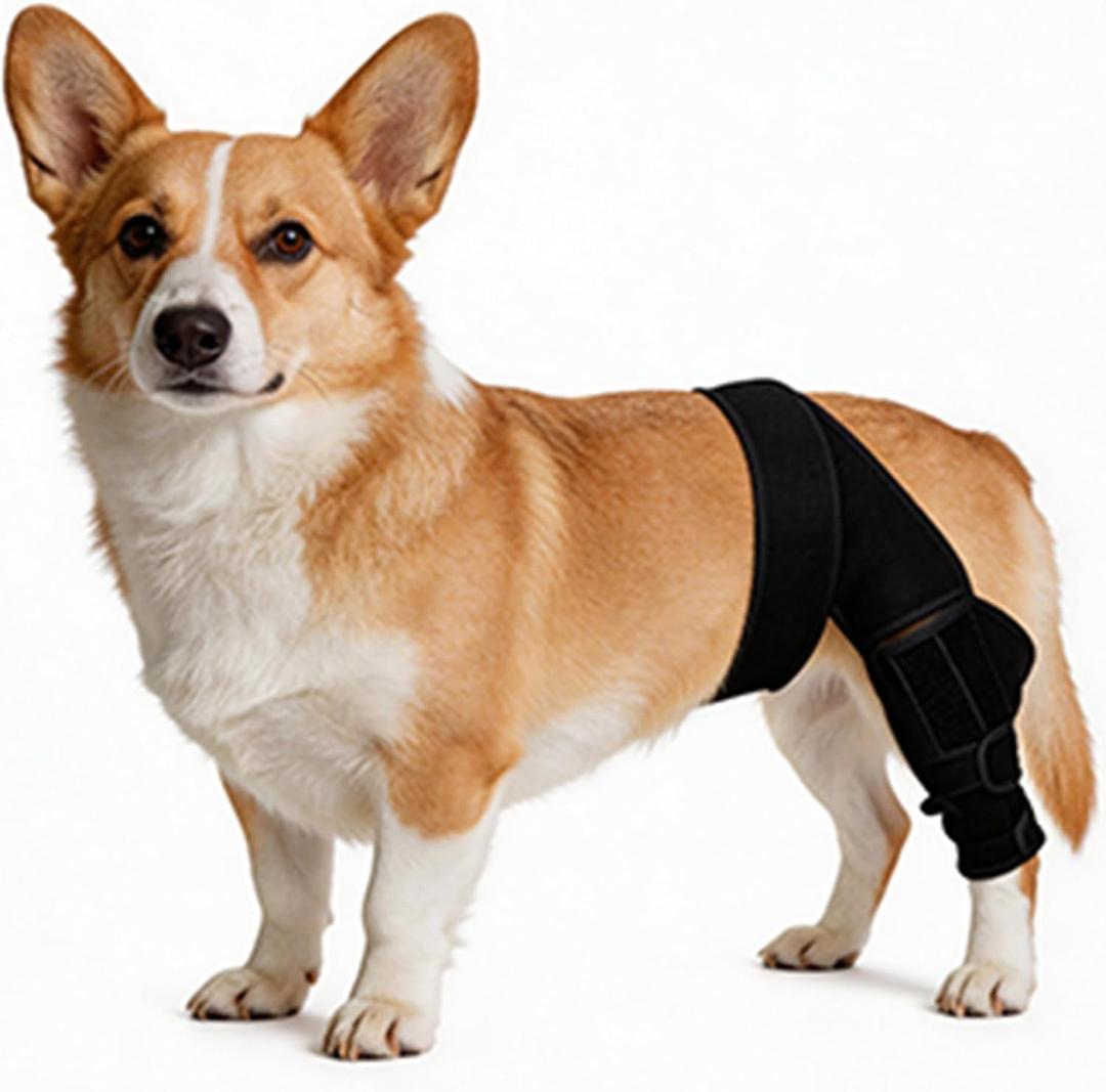 Dog Knee Brace for Leg, Adjustable Dog Braces for Torn ACL Support, Built in Side Stabilizers, Breathable Dogs Hip Brace for Arthritis Relief, Joint Stability and Post Surgery Recovery Small