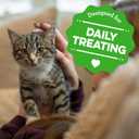 Greenies Feline Smartbites Healthy Kitten Treats, Crunchy and Soft Natural Cat Treats, Chicken Flavor, 16 oz Tub (EXP 11/01/25)