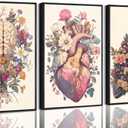 XCDVVAW Stretched Canvas Anatomy Wall Art Set of 3, Floral Human Organ Prints, Vintage Medical Heart Brain Lungs Artwork, Ready to Hang Boho Decor for Nursing School, Doctor Office & Classroom