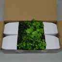 4pcs Faux Plants for Table Decor Fake Bonsai Plant Pots Artificial Adornments for Home Decor