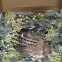 AMF0RESJ Green Eucalyptus Wreaths for Front Door Spring Summer Wreath with Eucalyptus Leaves,Olives Leaves,Mixed Berry for Indoor Outdoor Farmhouse Home Porch Wall Window Festival Wedding Decor