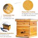 Beehive 8 Frame Bee Hives and Supplies Starter Kit, Bee Hive for Beginner, Honey Bee Hives Includes 1 Deep Bee Boxes, 1 Bee Hive Super with Beehive Frames and Foundation
