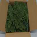 Hananona 50 Pcs Artificial Pine Branches Green Plants Pine Needles DIY Accessories for Garland Wreath Christmas and Home Garden Decor (50, Green)