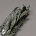 10 Pcs 12 Inch Ramadan Decoration Faux Olive Branches for Vases Eid Artificial Plants Olive Leaves Stems Ramadan Table Decor Eid Tabletop Greenery Centerpiece for Islamic Home Office Wedding Party