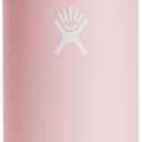 Hydro Flask Standard Flex Cap Trillium 24 Oz