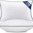 Throw Pillow Inserts Set of 2-Fluffy Square Cushions with 100% Cotton Covers-Decorative White Pillow Fillers for Sofa, Bed, Couch, Living Room, Indoor Hotel Pillows (12x20 Inch (Pack of 2)-Blue Edge)