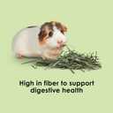 Kaytee Timothy Hay, High Fiber, Grown Specifically for Small Animals, Rabbits, Guinea Pigs, Chinchillas, Ideal Bulk Order for Small Pets, 12 pounds, Expiry: 06/04/28