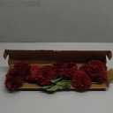 Hananona 12 Pcs Artificial Chrysanthemums Flowers Burgundy Red Flowers, Fake Mums Silk Flowers for Spring Home Decor Christmas Floral Arrangement Halloween Table Centerpiece (12, Burgundy)