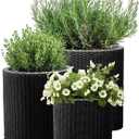 Keter Cylinder Set of 3 Rattan Resin Planter for Indoor and Outdoor Plants Ideal Decorative Planter for Porches and Patio Decor, Black