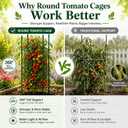 6 Pack Tomato Cages for Garden, 49" Adjustable Heavy Duty Round Tomato Cage, Metal Plant Support & Tomato Trellis for Raised Garden Bed, Pots, Vegetable & Climbing Plant Support Stakes (6)
