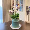 2 Pack of 8 inch Plant Saucer Clear, Heavy Duty Plastic Plant Water Tray 8 inch Round, Flower Plant Saucers for Indoors No Holes, Plant Dishes Saucer for Planter 7"/8" (8", White)