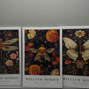 William Morris Canvas Wall Art Set of 3, Vintage Animal Bee Butterfly Dragonfly Posters Prints, Botanical Nature Flower Wall Decor Painting for Living Room Bedroom Bathroom 16x24 In Framed