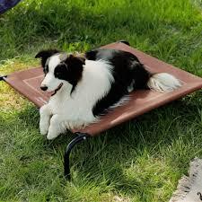 Bedsure Elevated Dog Bed- M