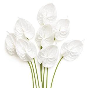Ling's Moment White Anthurium Flowers, 7pcs Artificial Silk Filler Plants, Faux Greenery Stems for DIY Wedding Bouquets Centerpieces Arrangements Bridal Shower Party Home Decorations