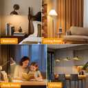 A19 LED Light Bulb, 60W Equivalent, Efficient 9W, 7 Year, 800 Lumens, Non-Dimmable, 2700K, Daylight White - 6 Pack