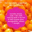 amika mane menders strength repair wash + care set