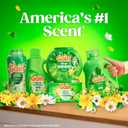 Gain Liquid Laundry Detergent, Freshness, Odor Defense, High Efficiency Washing Machine Liquid Laundry Soap, Original Scent, 132 fl oz, 100 Loads