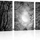 Visual Art Decor Black and White Full Moon Forest Trees Picture Goth Room Decor Canvas Wall Art Framed Artwork Gothic Home Decor Living Room Bedroom Home Office Decoration 3 Piece