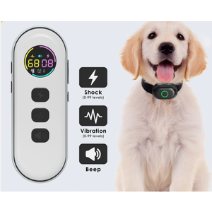 Lychee Training Collar 