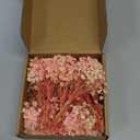 6'' Mini Size Pink & White Dried Babys Breath Flowers 4000+, 70Pcs Natural Gypsophila for DIY Art Crafts, Dry Flowers Bulk for Vase Resin Nails, Valentine's Day Decor, Room Table Wedding Gifts
