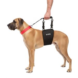Tuff Pupper Dog Sling Hip Harness | Rear Lift Support for Senior & Injured Dogs | Adjustable Mobility Aid | Strong Padded Handle | Comfortable Design | Hip & Hind Leg Assistance (Tall, Male)