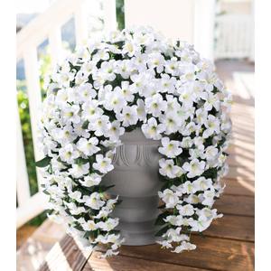 HyeFlora Artificial Flowers for Outdoors, 2pcs Faux Hanging Morning Glory Silk Fake Flowers Lifelike Artificial Plants UV Resistant Flowers for Outside Planter Patio Garden Porch Decor (White)
