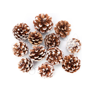 27 Pcs Big Size Snow Natural Pine Cones with Strings, 2“-3.5“ Rustic Pinecones Bulk Christmas Hanging Ornaments for Xmas Tree Decoration, DIY Crafts, Holiday, Wedding, Party