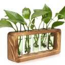 Glass Plant Propagation Station with 5 Test Tubes Colorful Planter Vase Birthday Gifts for Women in Wooden Stand