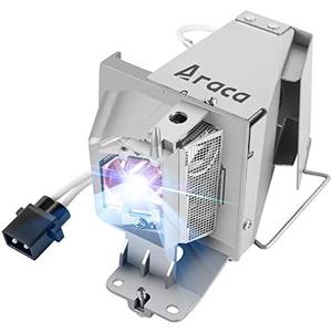 Araca BL-FP195B /BL-FP195A (OEM Original Bulb Inside) with Housing for OPTOMA GT1080DARBEE HD29DARBEE Projector Lamp